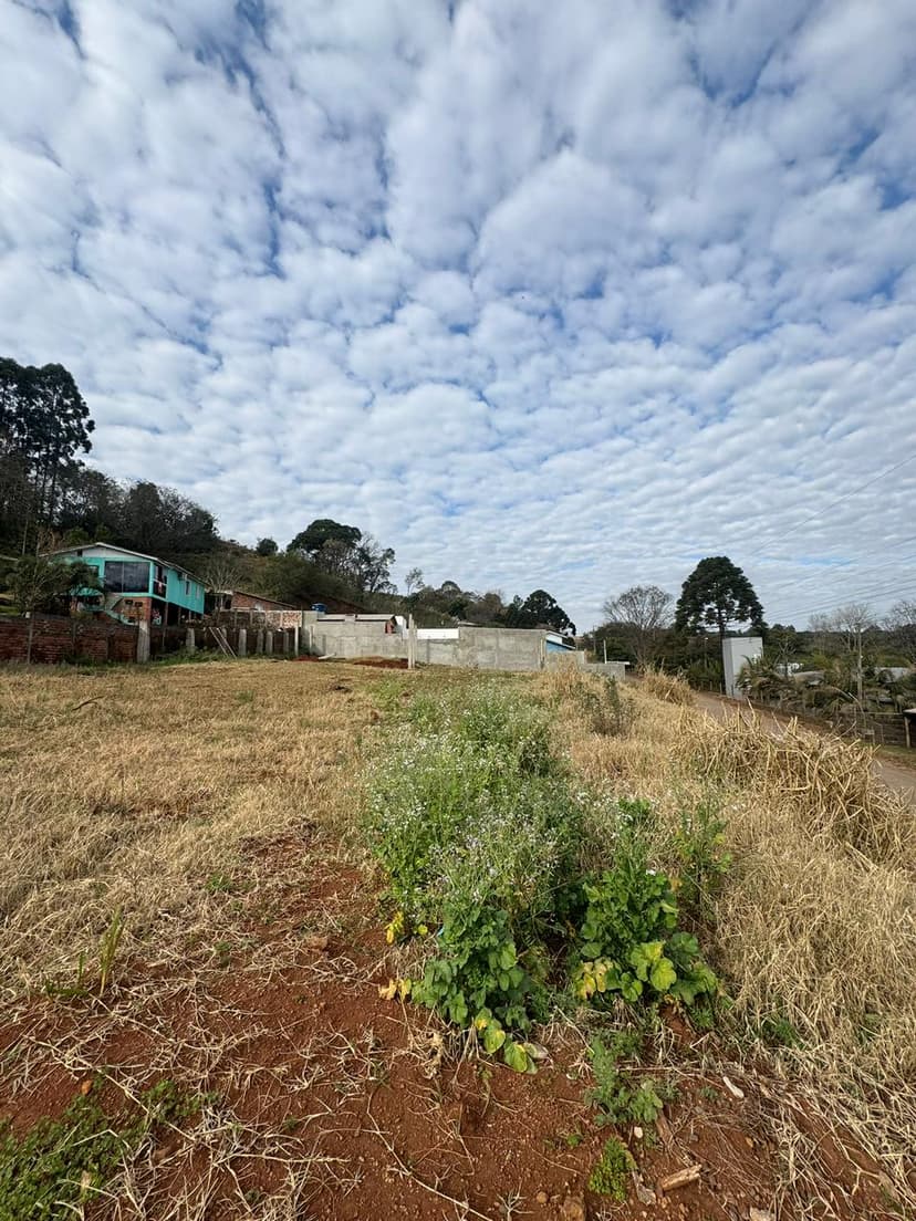 Lote Urbano